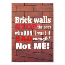 Brick Walls. Obstacles. Determination