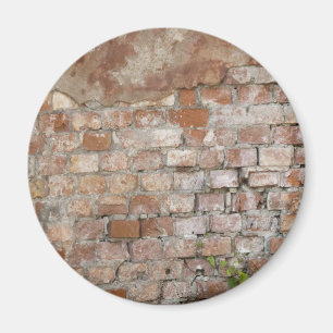 Bricks old wall magnet