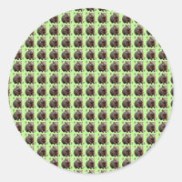 Brickwork Burrow: A Wombat's Green Canvas,
