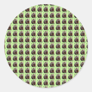 Brickwork Burrow: A Wombat's Green Canvas, Classic Round Sticker