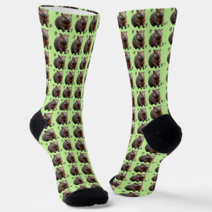 Brickwork Burrow: A Wombat's Green Canvas, Socks
