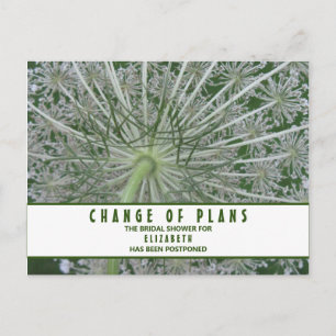Bridal Shower Change of Plans Queen Anne's Lace Postcard