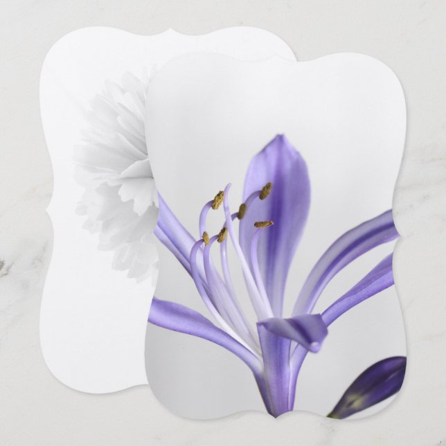 Bridal Shower Party Destiny's Destiny Invitation (Front/Back)