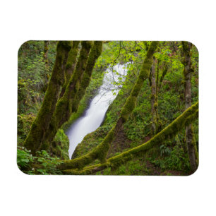 Bridal Veil Falls Magnet