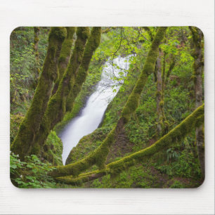 Bridal Veil Falls Mouse Mat
