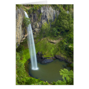 Bridal Veil Falls, New Zealand