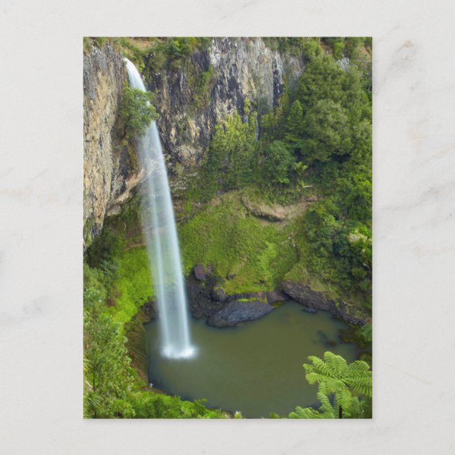 Bridal Veil Falls, New Zealand Postcard (Front)