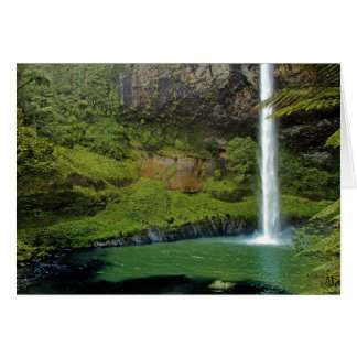 Bridal Veil Falls, NZ