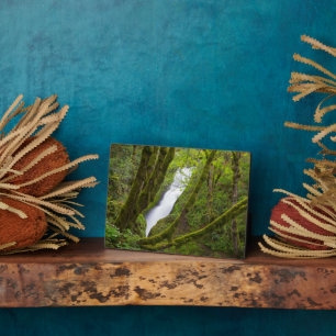 Bridal Veil Falls Plaque