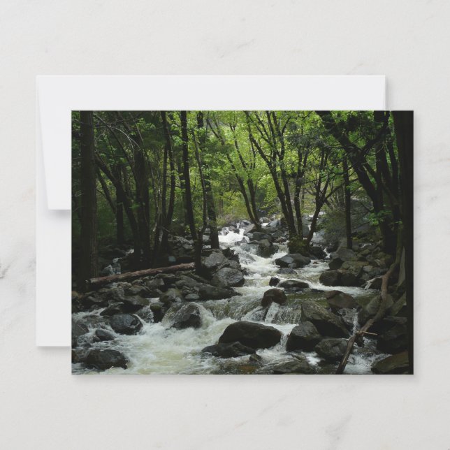 Bridalveil Creek in Yosemite National Park (Front)
