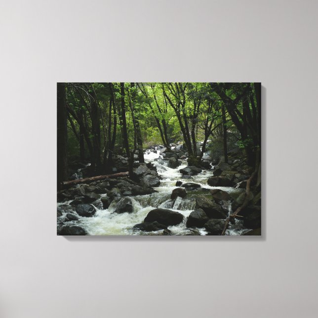 Bridalveil Creek in Yosemite National Park Canvas Print (Front)