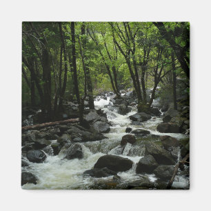 Bridalveil Creek in Yosemite National Park Magnet