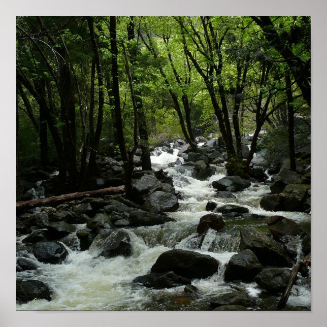 Bridalveil Creek in Yosemite National Park Poster (Front)