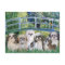 Bridge - 6 Shih tzus