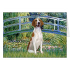 Bridge - American Foxhound