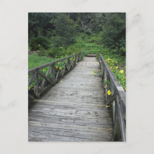 Bridge at Bellingrath Gardens Postcard