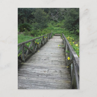 Bridge at Bellingrath Gardens Postcard