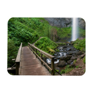 Bridge at Latourell Falls, Columbia River Gorge, Magnet