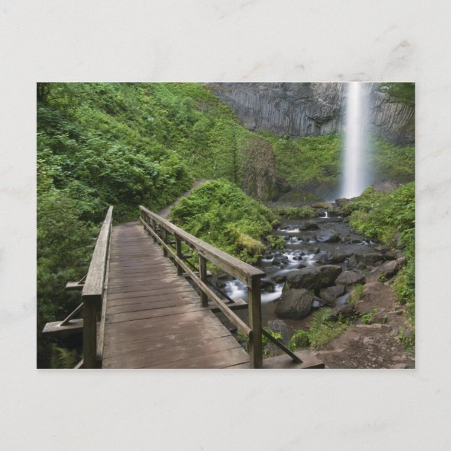Bridge at Latourell Falls, Columbia River Gorge, Postcard (Front)