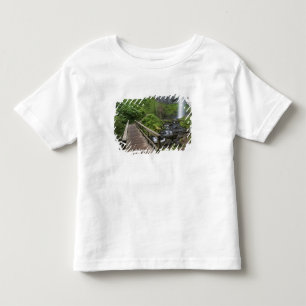 Bridge at Latourell Falls, Columbia River Gorge, Toddler T-Shirt