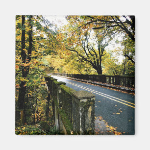 Bridge at Latourell Falls, Oregon Magnet