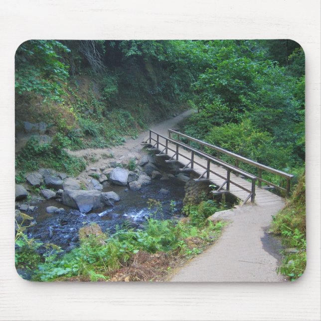 Bridge at Latourell Falls, Oregon Mouse Mat (Front)