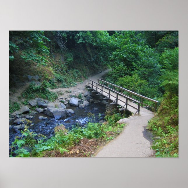 Bridge at Latourell Falls, Oregon Poster (Front)