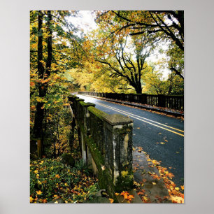 Bridge at Latourell Falls, Oregon Poster