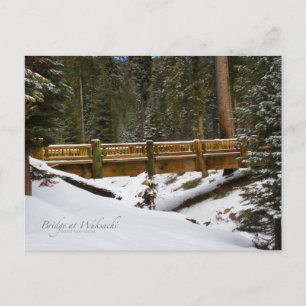 Bridge at Wuksachi Postcard