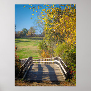 Bridge Colors Poster