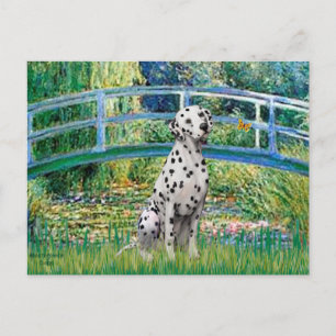 Bridge - Dalmatian Postcard