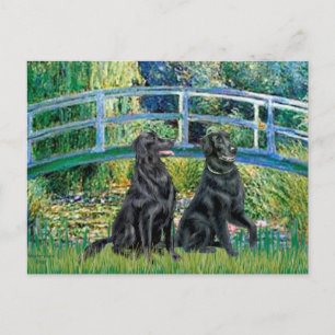 Bridge - Flat Coated Retriever (two) Postcard