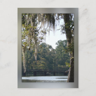 Bridge in the Swamps Postcard