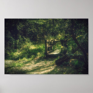 Bridge in the woods poster