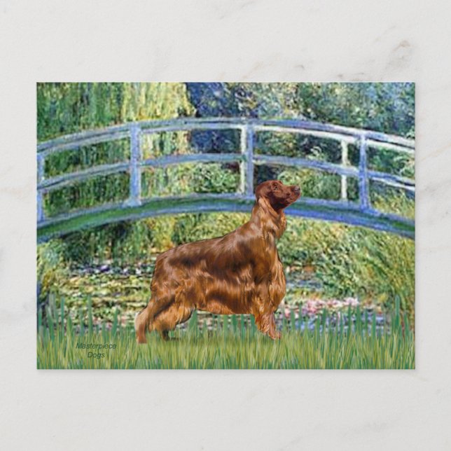 Bridge - Irish Setter 3 Postcard (Front)