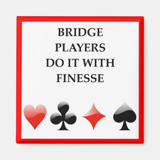 BRIDGE MAGNET