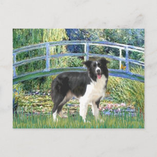 Bridge (Monet)-Border Collie Postcard