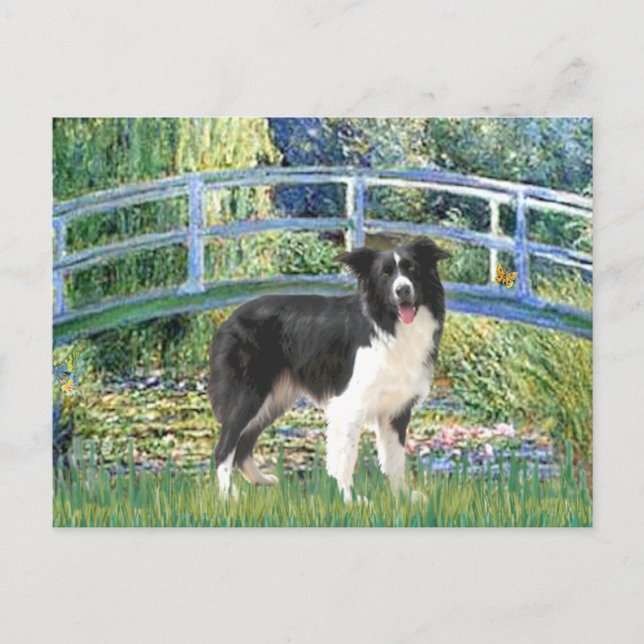 Bridge (Monet)-Border Collie Postcard (Front)