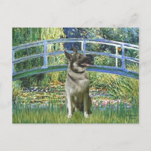 Bridge - Norwegian Elkhound Postcard