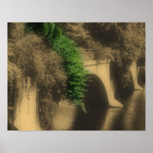 Bridge Of Flowers Partial Colour Poster
