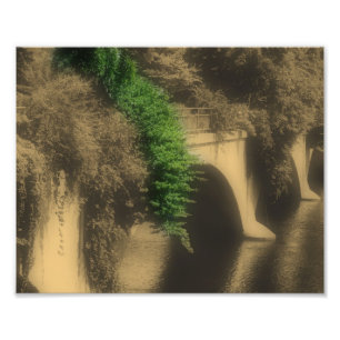 Bridge Of Flowers Vintage Partial Colour 8x10 Photo Print