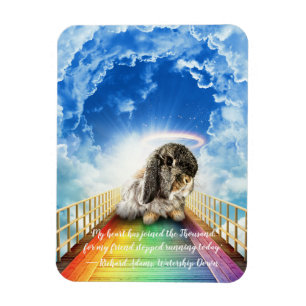 Bridge of Many Colors Magnet