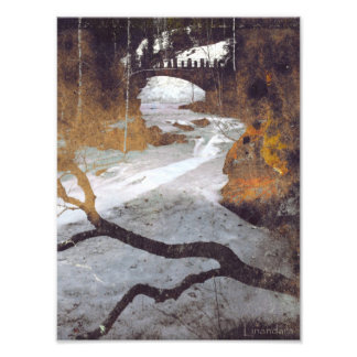 Bridge Over a Frozen Stream by Alexandra Cook Photo Print