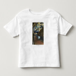 Bridge over Chasm Showing Balanced Rock Toddler T-Shirt