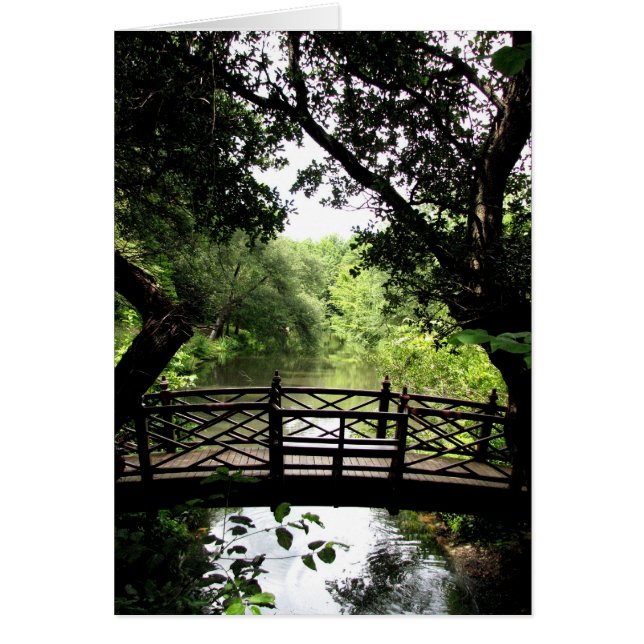 Bridge Over Peaceful Water (Front)