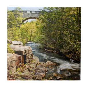 Bridge Over River Tile