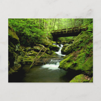 Bridge over Roaring Fork Postcard