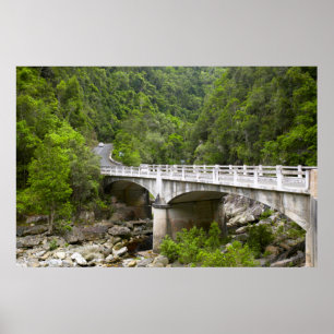 Bridge Over Stream, Tsitsikamma National Park Poster