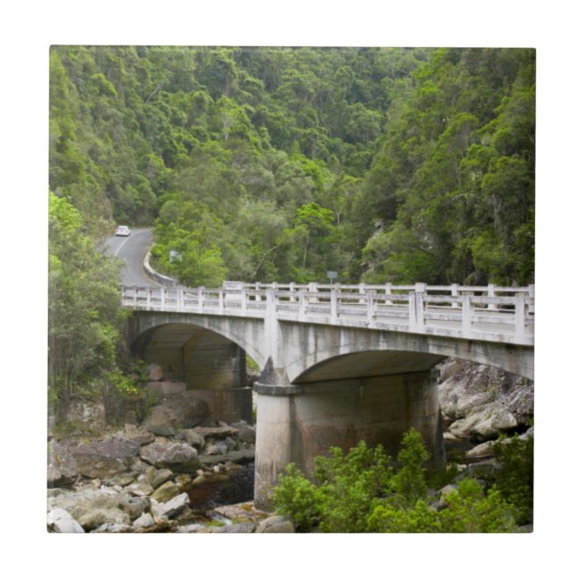 Bridge Over Stream, Tsitsikamma National Park Tile (Front)