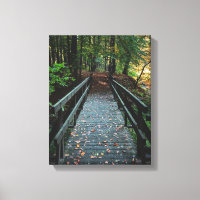 Bridge Over to the Other Side
